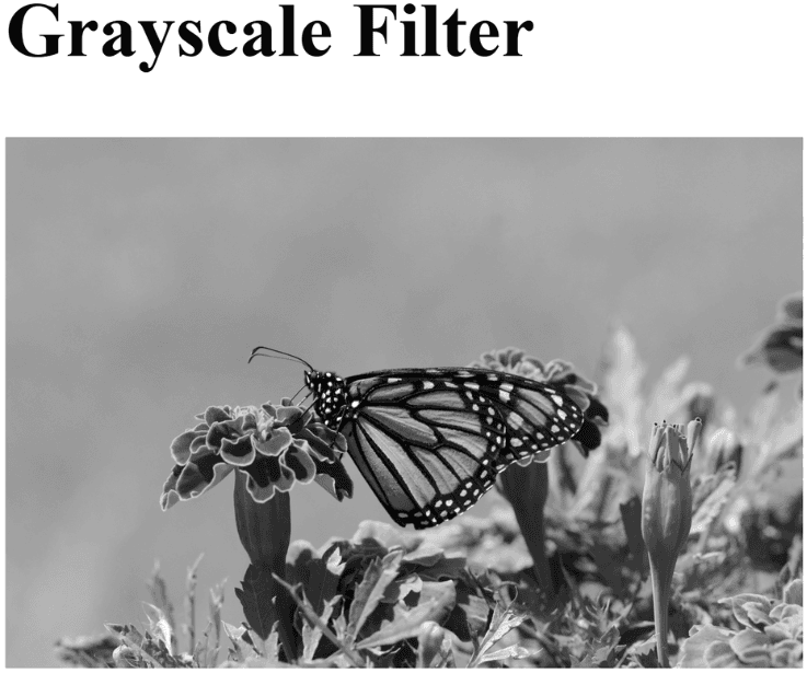 learn code with durgesh images