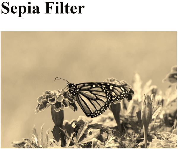 learn code with durgesh images